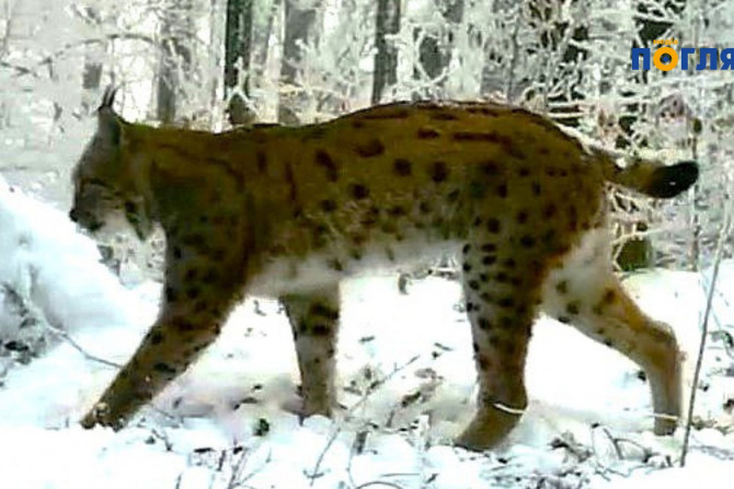 Екологія - a0f496eb-12d7-4c05-9e8f-fee725a8e3a6 - зображення